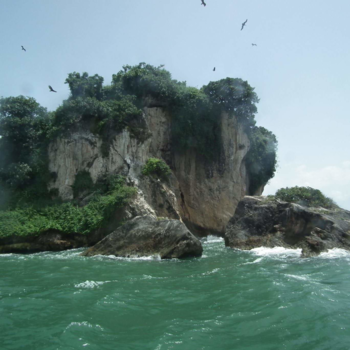 Rondreis Bali & Lombok - Gieren