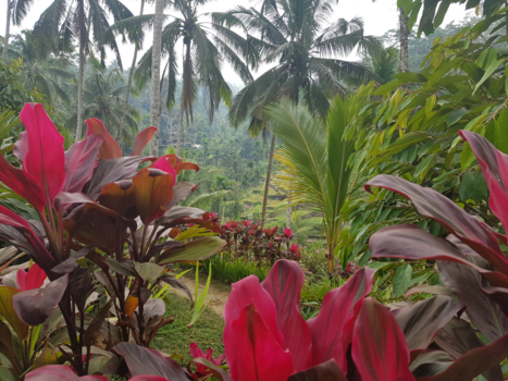 Bali - Hiding in paradise