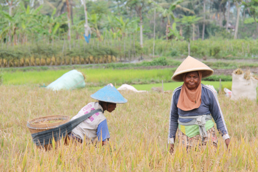 Java - Aan het werk op Java