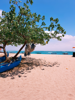 Bali - Dagelijkse schoonheid...