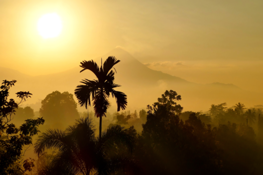 Borobudur - Mystic Sunrise