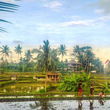 Bali - Children of ubud