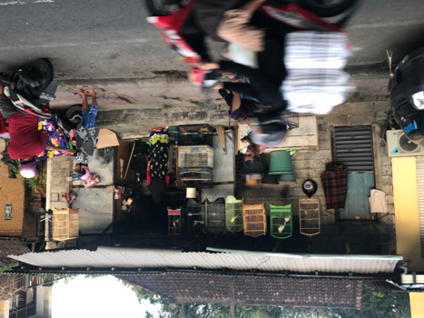 Bali - Dagelijkse leven in Ubud