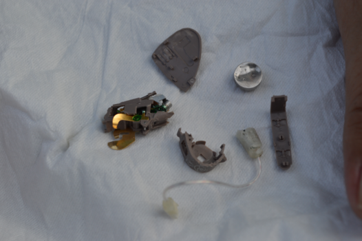 Bali - Zo ziet je hoorapparaat eruit na te zijn behandeld door een aap (Bali).