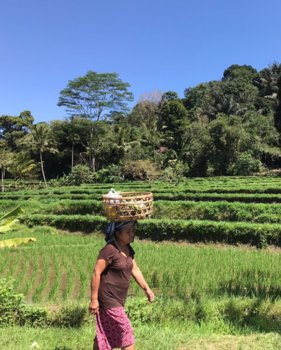 Bali - Balinese boodschappentas...