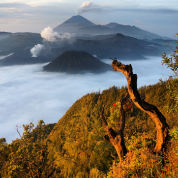 Bromo National Park