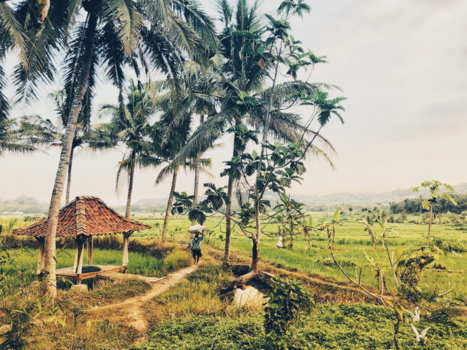 Yogyakarta - A taste of Indonesia.