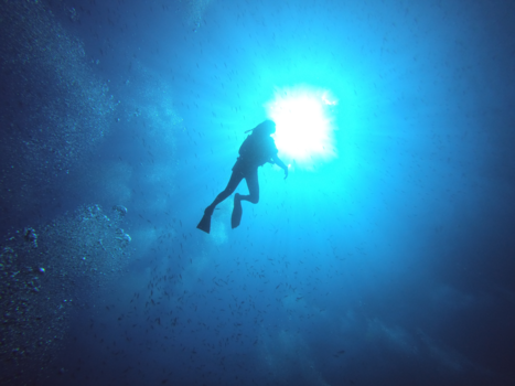 Raja Ampat eilanden - How fish see us