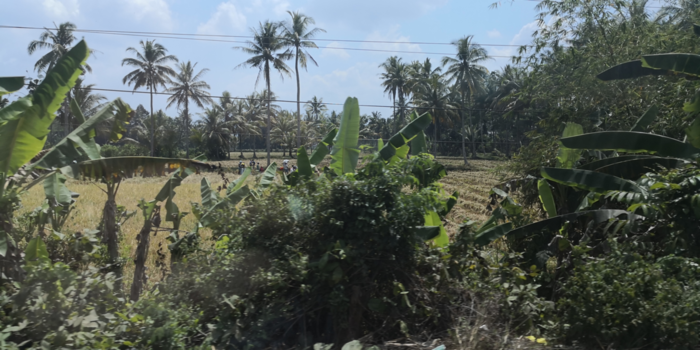 Rondreis Bali & Java