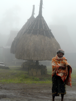 Flores - Regenachtige dag in Langa en Welo