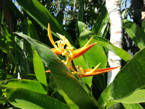 Bali - Prachtige natuur