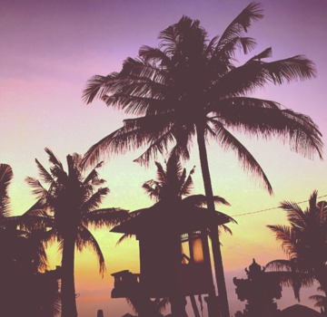 Bali - Palm trees & ocean breeze