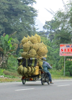 Rondreis Indonesië buiten de gebaande paden - Als het past, gewoon gaaaaaan