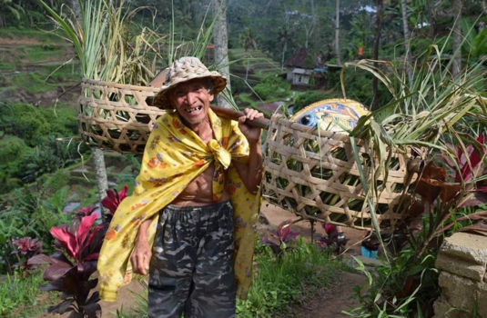 Bali - Rijstvelden in Bali