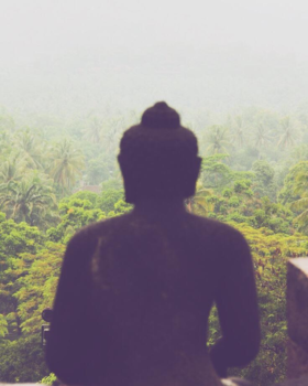 Borobudur - Buddha jungle