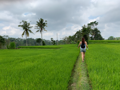 Rondreis Bali & Java - Wandelen door de rijstvelden