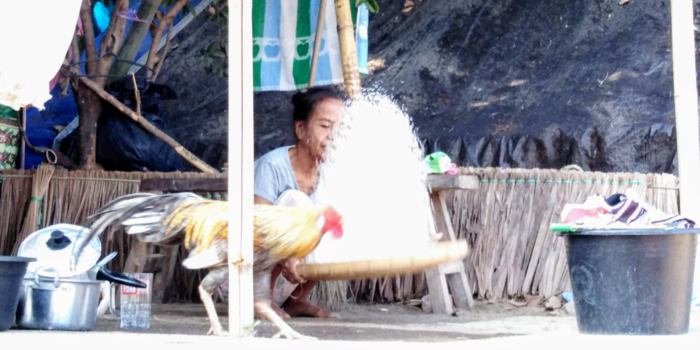 Lombok - Life goes on in the aftermath of the Lombok earthquakes.