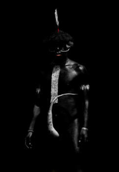 Baliem Vallei - The last remaining tribemembers of Papoea