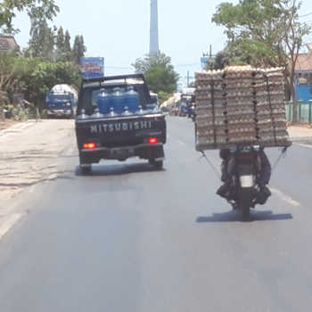Bali - Eieren vervoer
