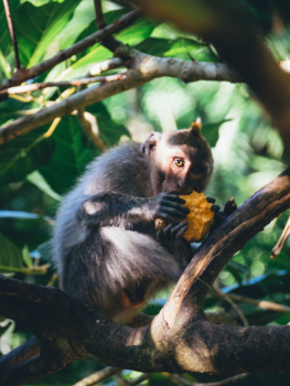 Rondreis Bali - In the mood for food