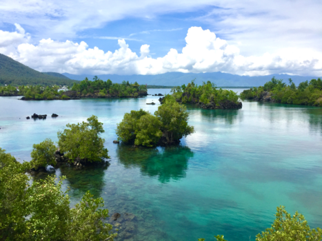 Molukken - Halmahera 2017