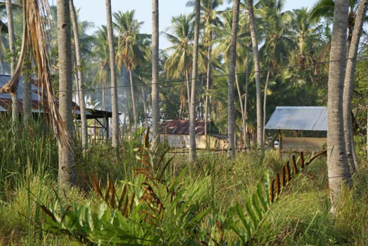 Flores - Wonen op prachtig Flores