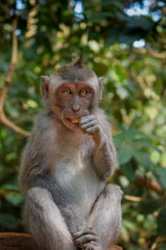 Bali - Rustig aan het genieten van ze lunch. De blijdschap is te zien in je straalde ogen.