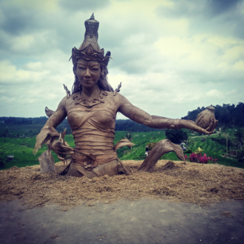 Bali - Jatiluwih, Bali