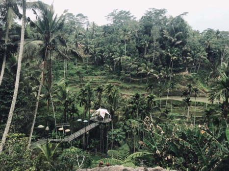 Bali - Tegallalang rijstvelden