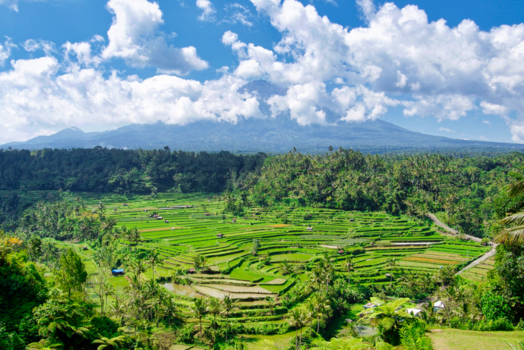 Bali - Andere wereld..