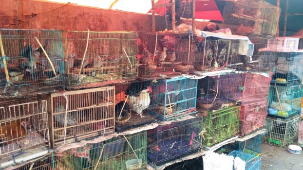 Malang - Malang Market