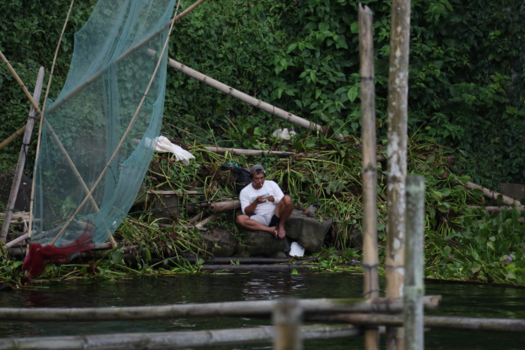 Sulawesi - Stressless Life