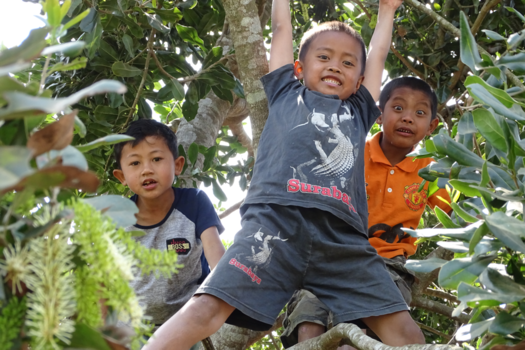 Java - 3 boys in a tree!