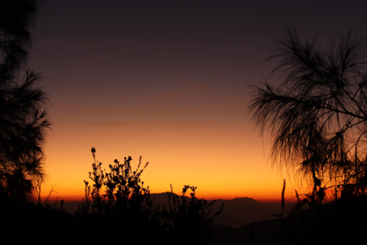 Rondreis Bali & Java - Zonsopkomst bij de Bromo vulkaan