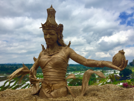 Bali - Godin van de rijst Dewi Sri tussen de rijstvelden. De godin waar ik naar vernoemd ben