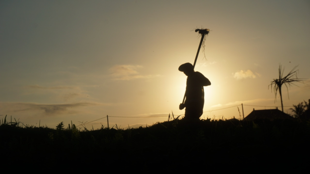 Bali - Lokale werkende man