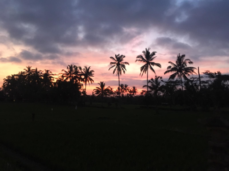 Ubud - Sunset Ubud