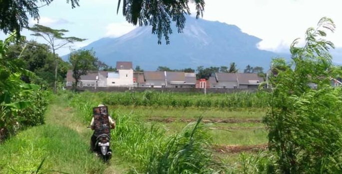 Yogyakarta - Duifjes met merapi