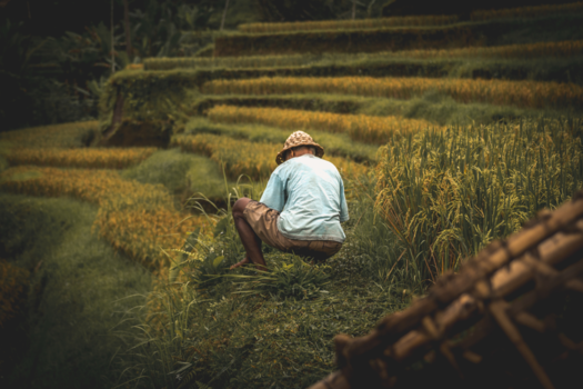 Bali - Little things-