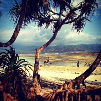 Bali - Hidden beauty