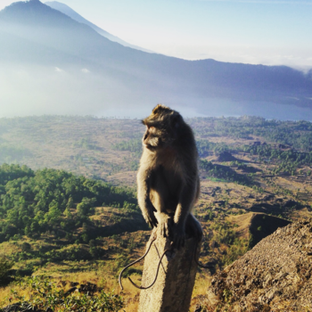 Bali - So close but so distant