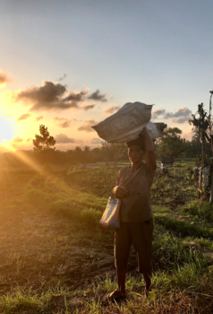 Bali - Een kijkje achter de Indonesische schermen