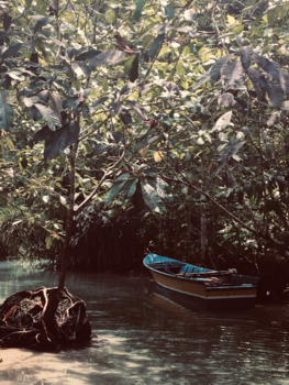 Indonesie - Air dingin, De Molukken