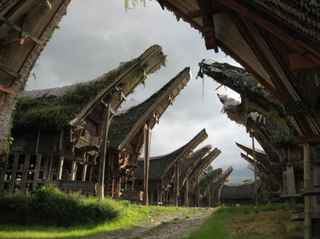 Rondreis Sulawesi - Tana Toradja