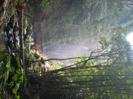 Bali - Prachtige waterval en omgeving in het binnenland van Bali