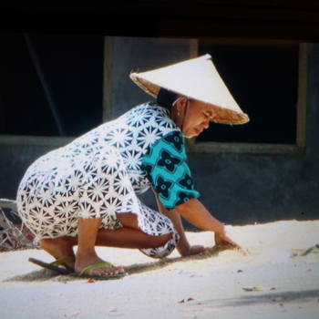 Sulawesi - Rijst drogen!