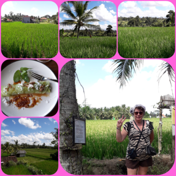 Rondreis Bali & Java - Erop uit