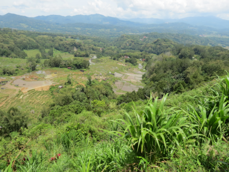 Sulawesi - Uitzicht