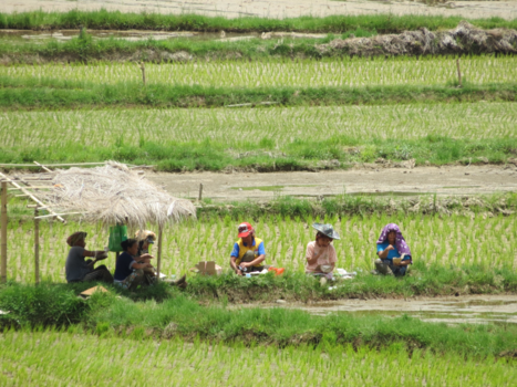 Sulawesi - Locals aan het werk
