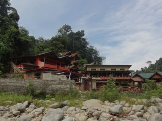 Gunung Leuser National Park - Guesthouse Jungle Inn